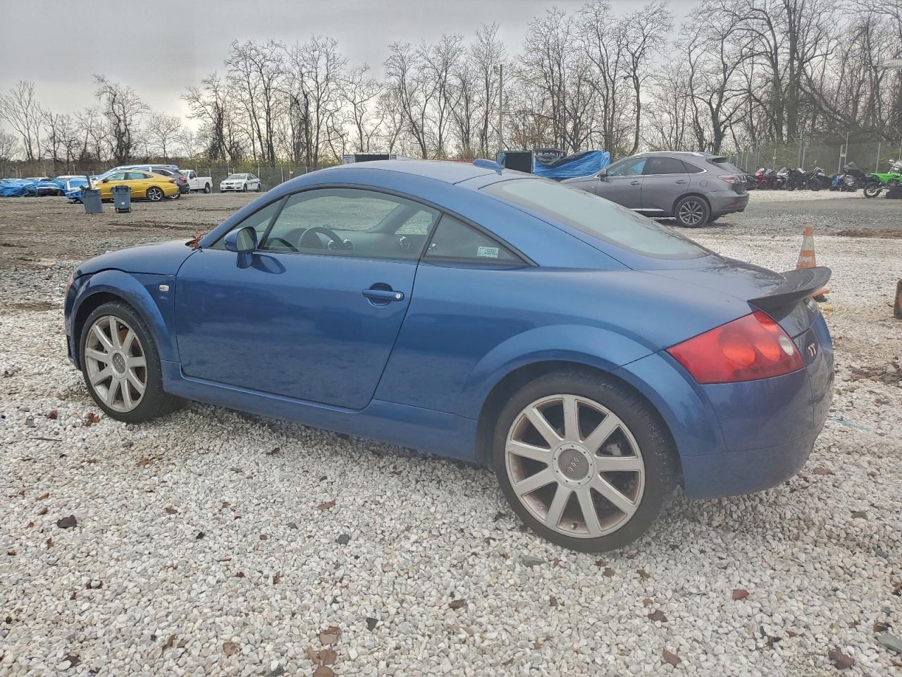 Фото: TRUWF28N251010959