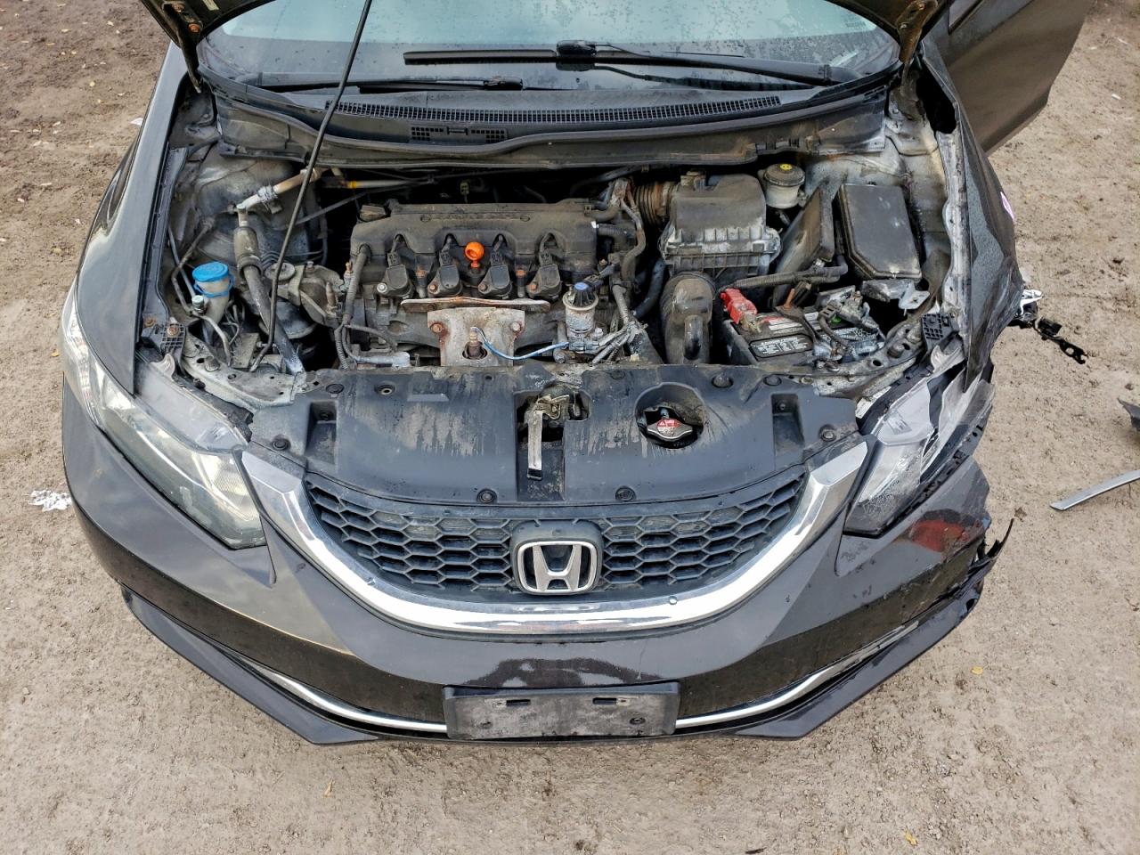 2013 Honda Civic Lx VIN: 2HGFB2F59DH036565 Lot: 94184005