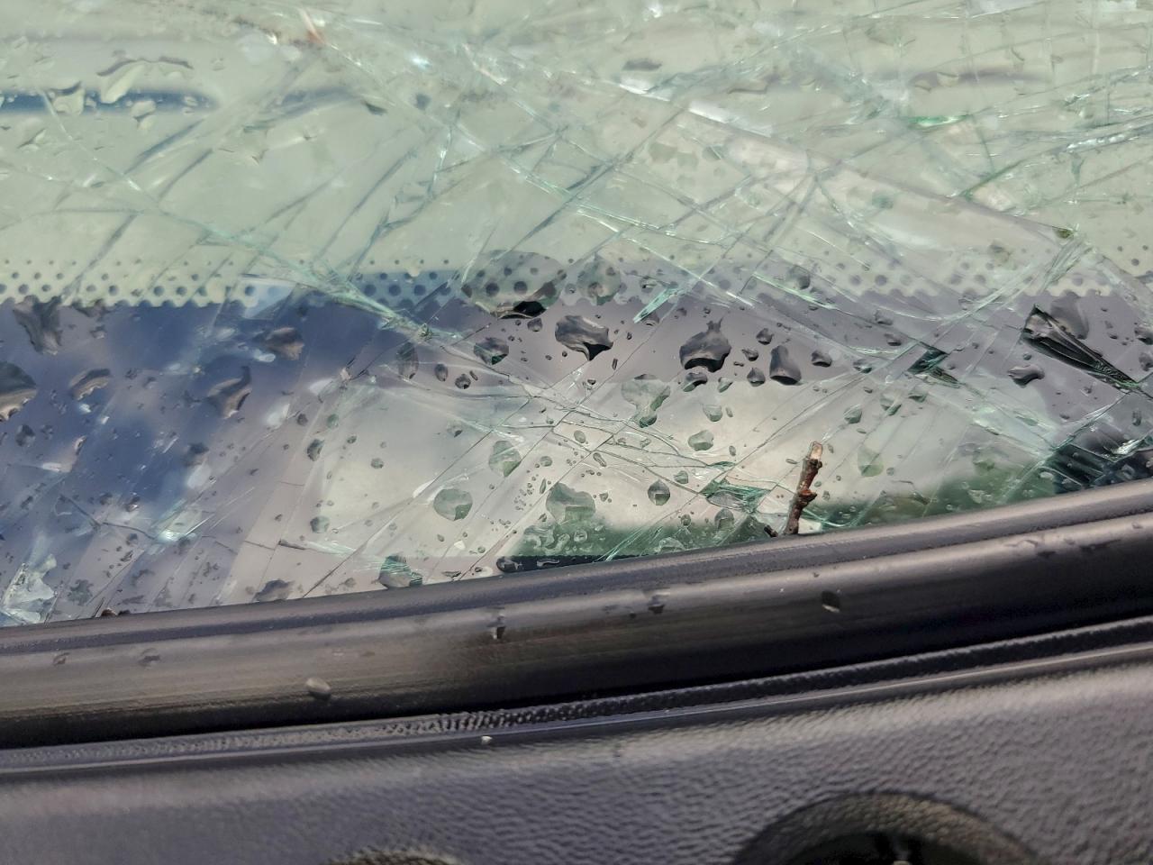 2005 Ford F250 Super Duty VIN: 1FTSW21P25EA48849 Lot: 93770315