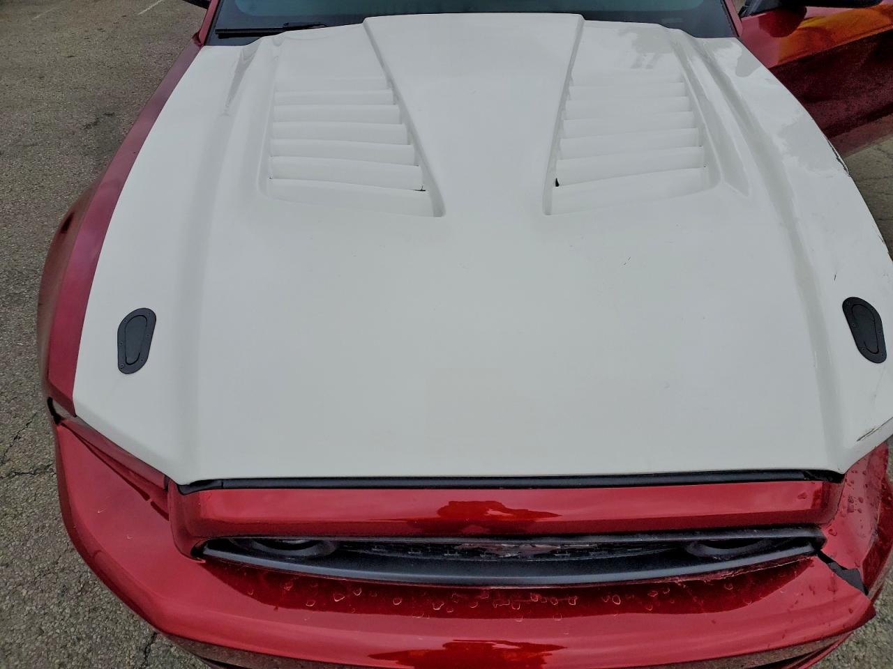 2014 Ford Mustang Gt VIN: 1ZVBP8CF2E5282426 Lot: 94557255