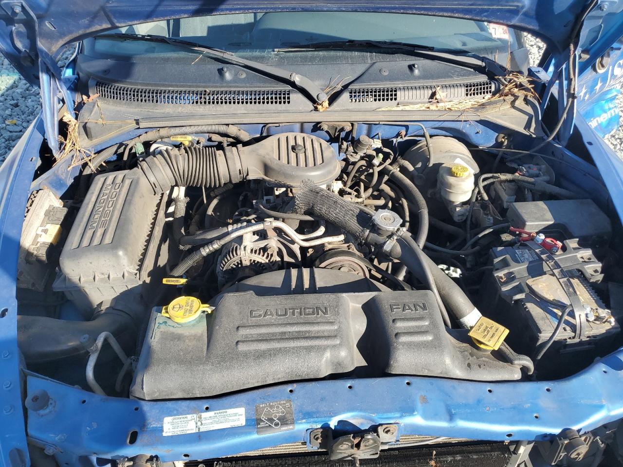 2000 Dodge Dakota VIN: 1B7GL22X3YS648783 Lot: 92923365