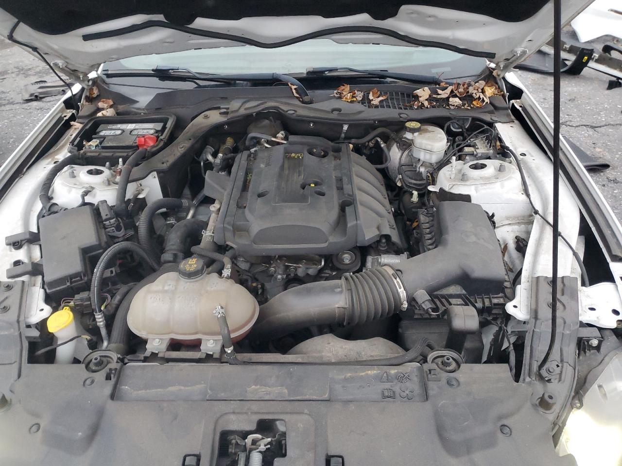 2019 Ford Mustang VIN: 1FA6P8TH9K5133423 Lot: 92397715