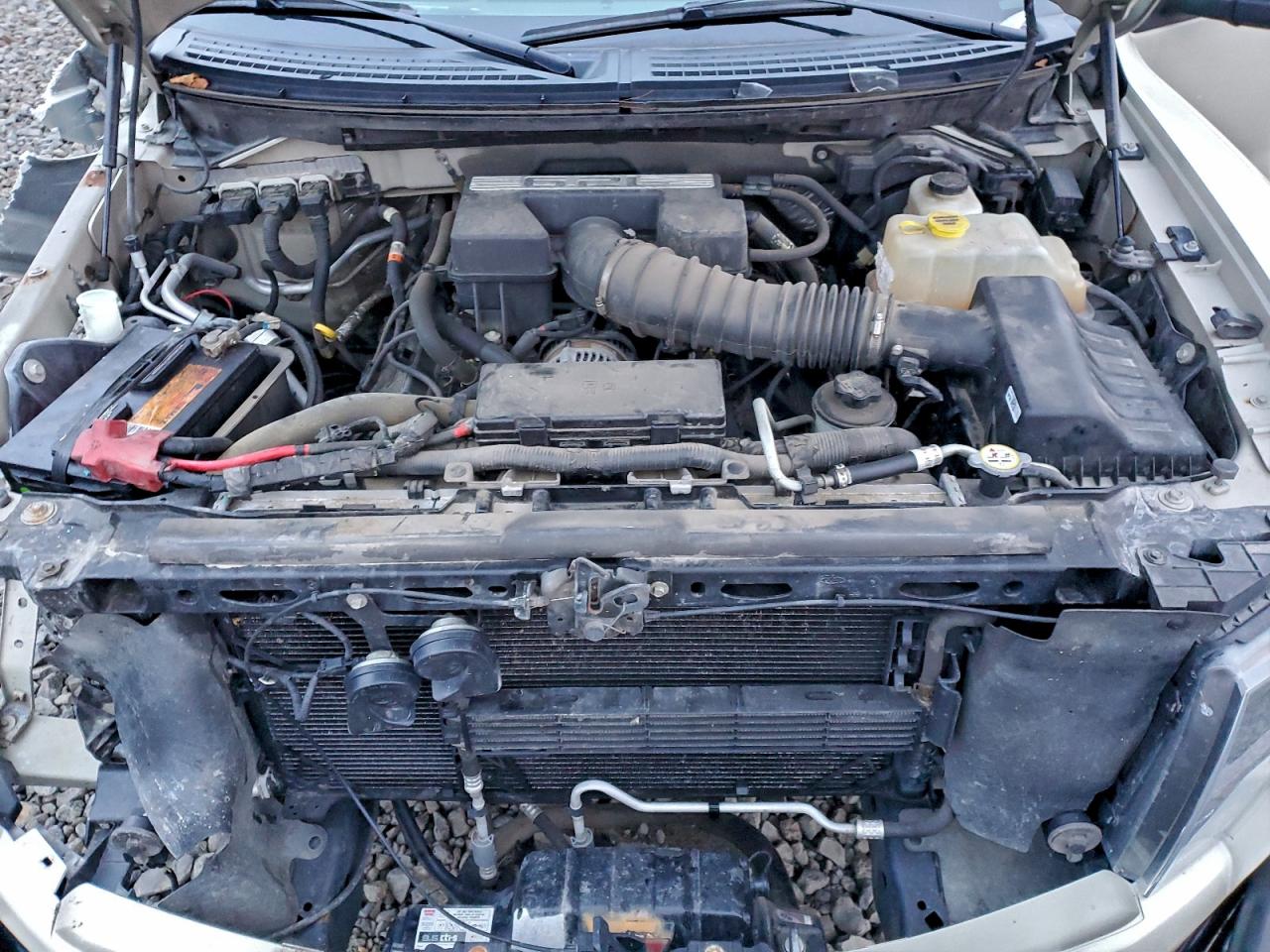 2013 Ford F150 Svt Raptor VIN: 1FTFW1R61DFD81446 Lot: 93412205