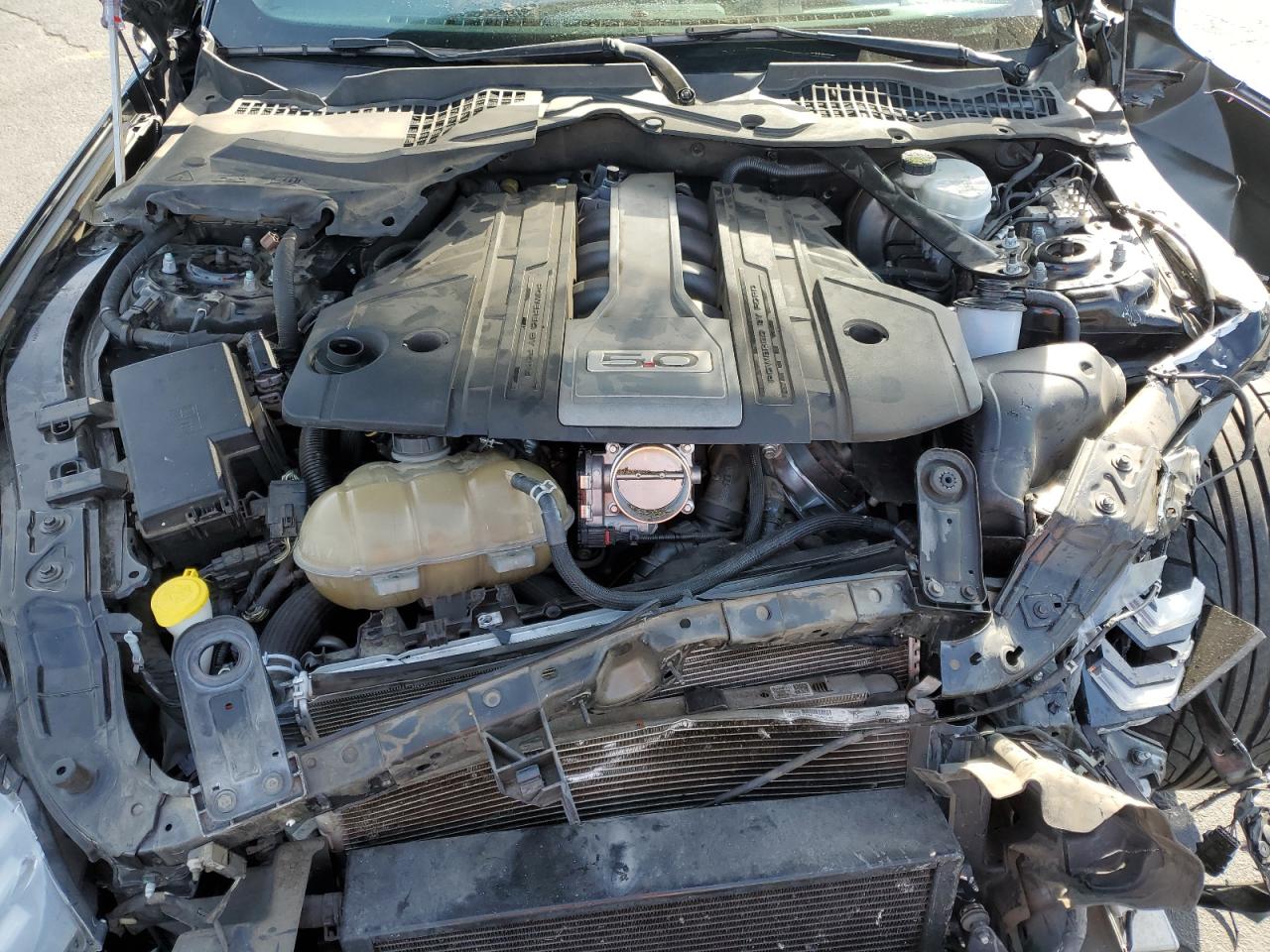 2018 Ford Mustang Gt VIN: 1FA6P8CF0J5109203 Lot: 91517695