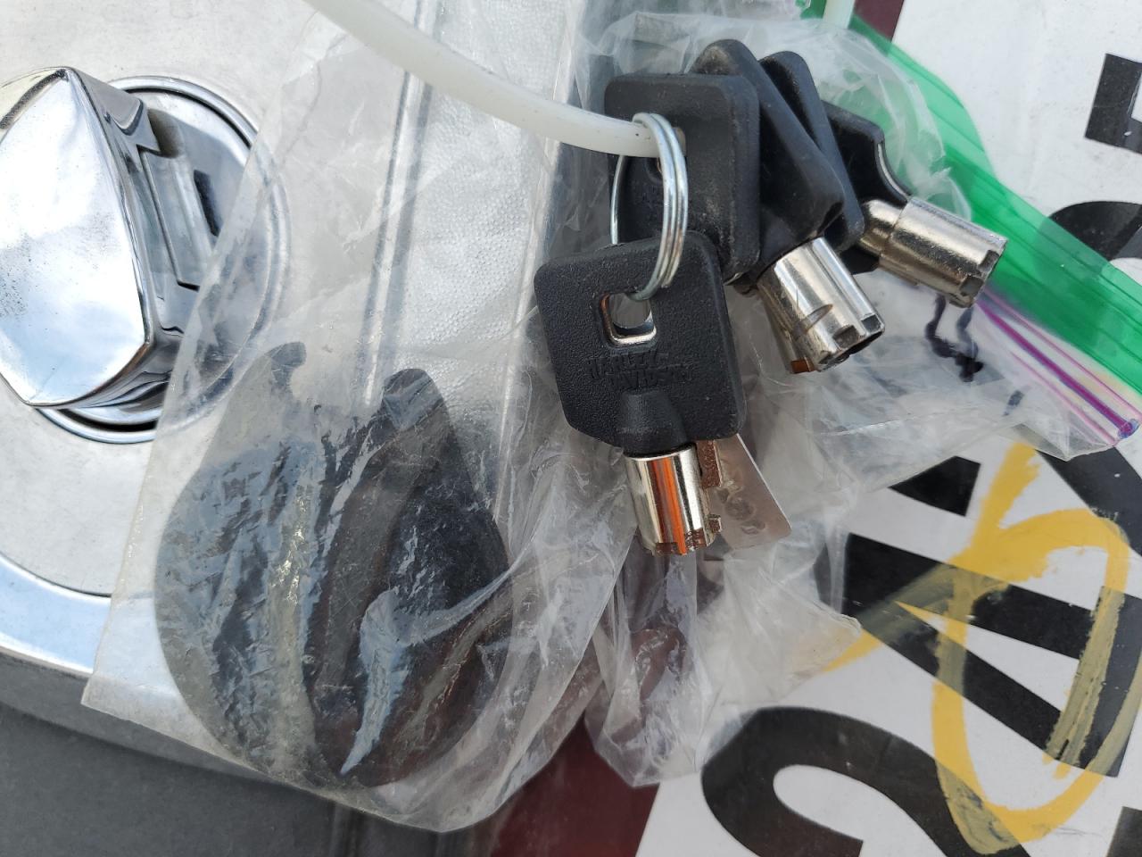 2005 Harley-Davidson Flstci VIN: 1HD1BWB315Y069568 Lot: 91592425