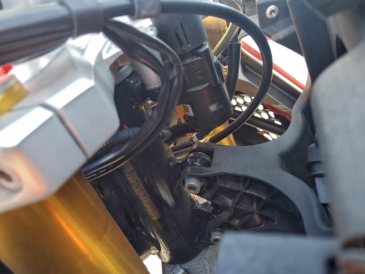 2019 BMW G310 Gs VIN: WB30G1201KR826891 Lot: 93326615