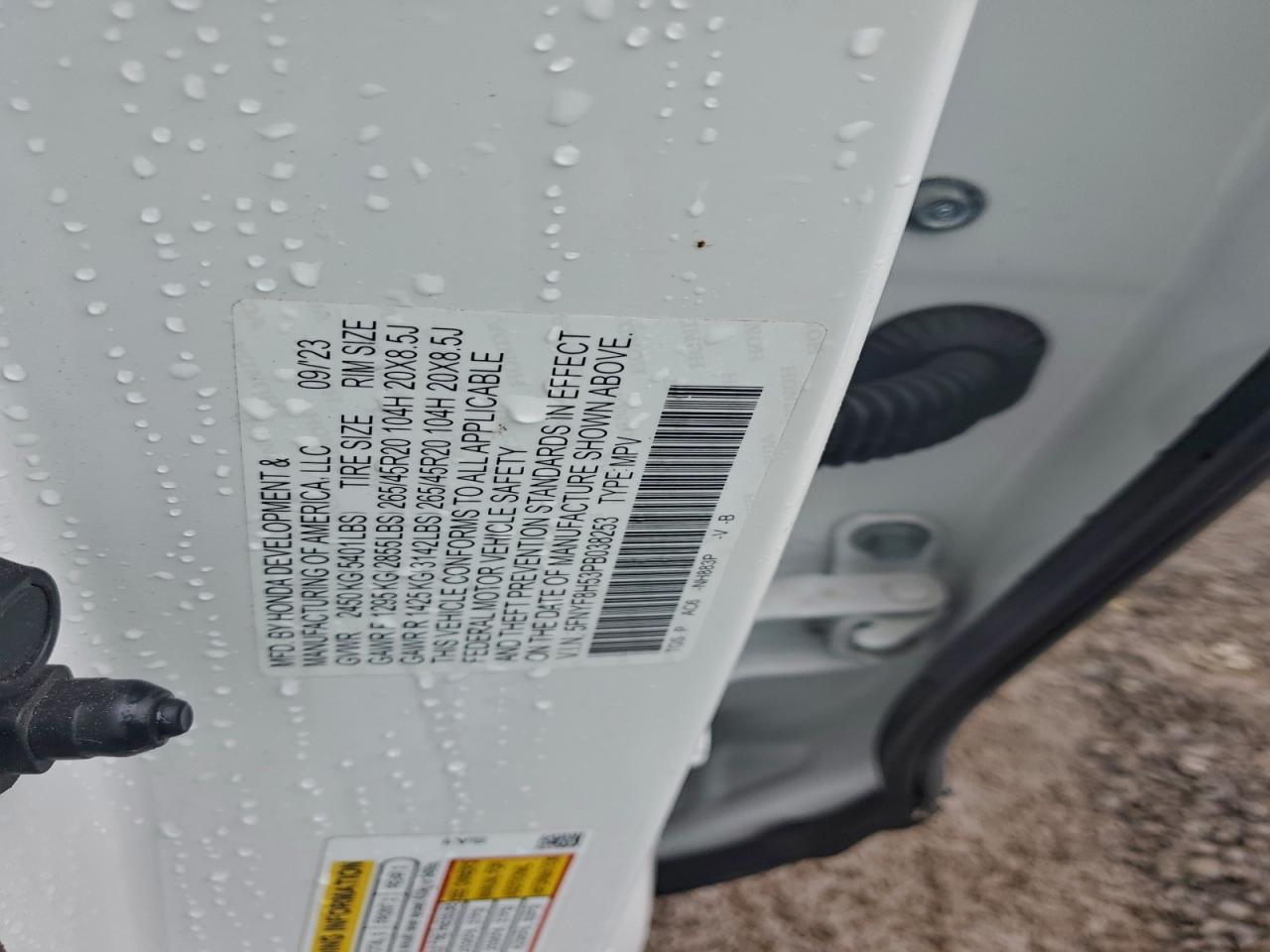 2023 Honda Passport Exl VIN: 5FNYF8H53PB038253 Lot: 94727825