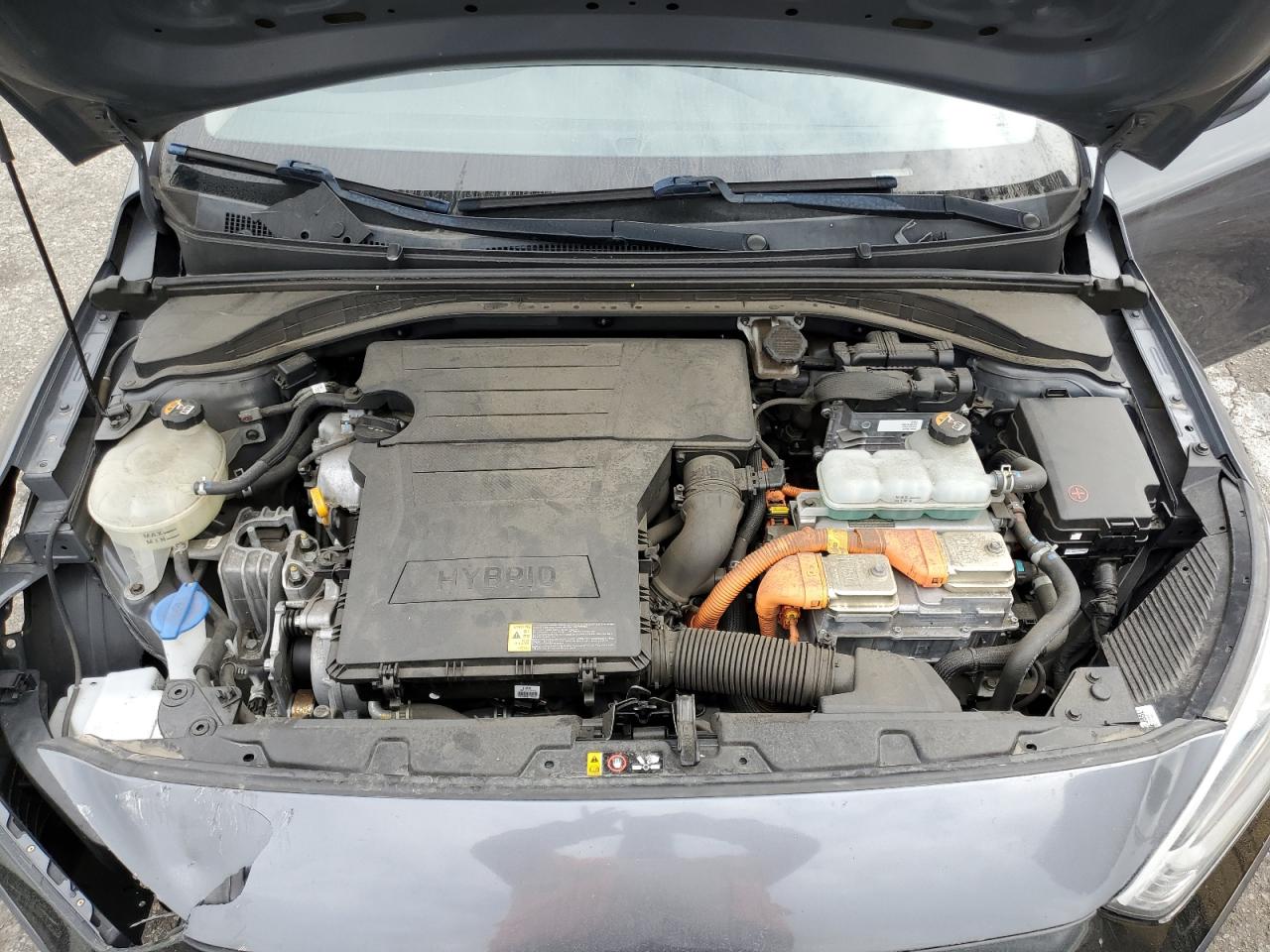 2019 Hyundai Ioniq Blue VIN: KMHC65LC2KU165716 Lot: 92880125