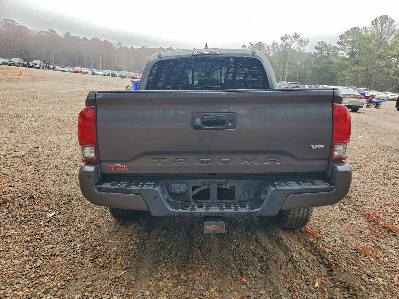 2019 Toyota Tacoma Double Cab VIN: 3TMCZ5ANXKM223074 Lot: 90365605