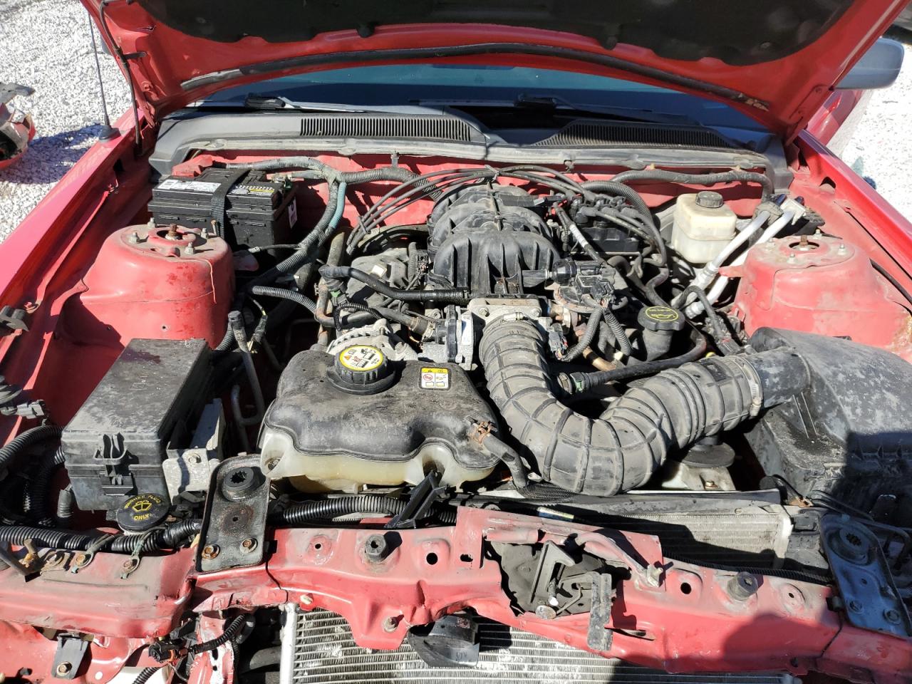 2007 Ford Mustang VIN: 1ZVFT80N775350067 Lot: 91525655