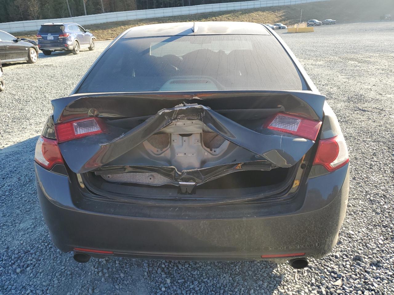 2009 Acura Tsx VIN: JH4CU26629C029194 Lot: 91573615