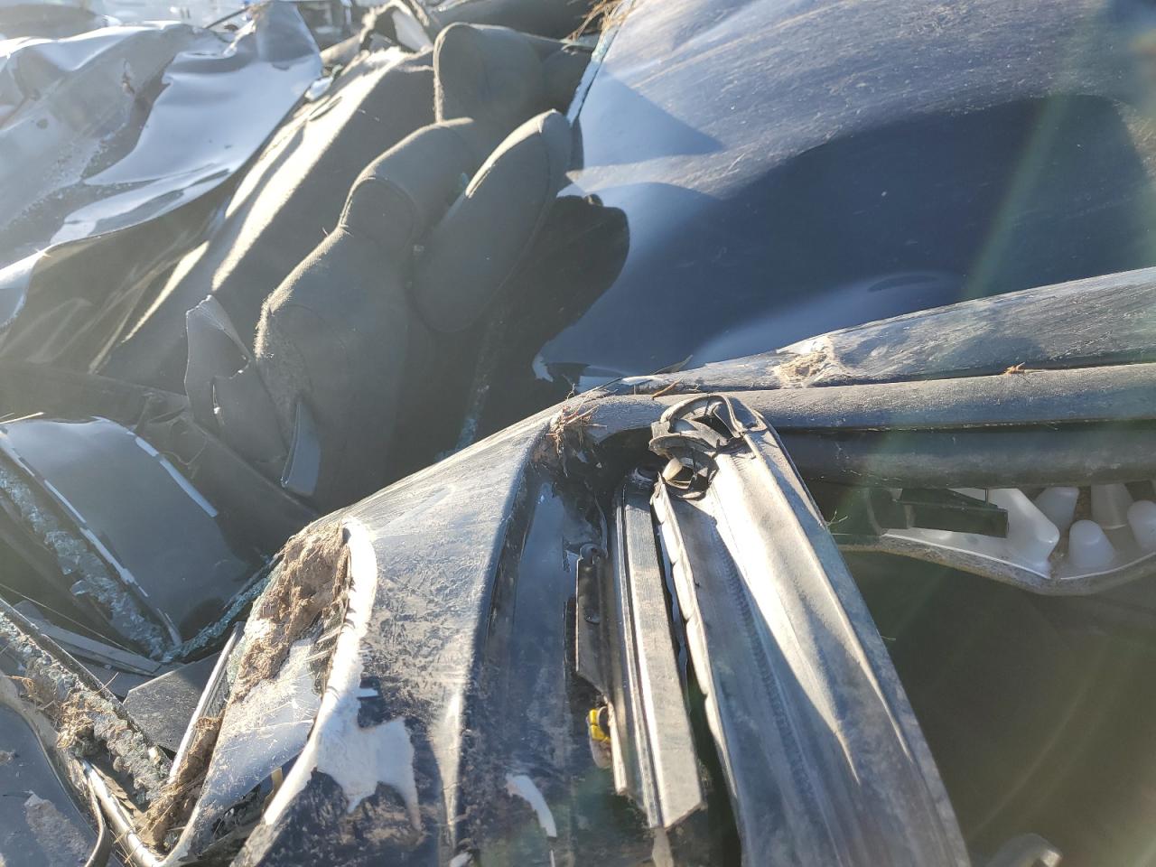 2011 Ford Mustang VIN: 1ZVBP8AM3B5138221 Lot: 93491625