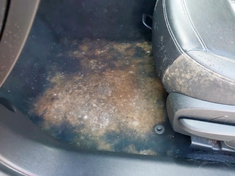 2016 VAUXHALL INSIGNIA 1.6 CDTI ECOFLEX ELITE NAV 5DR [START STOP]