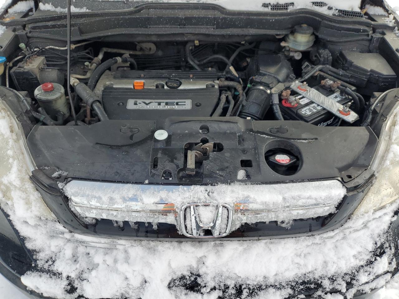 2007 Honda Cr-V Exl VIN: JHLRE48747C006011 Lot: 92239805