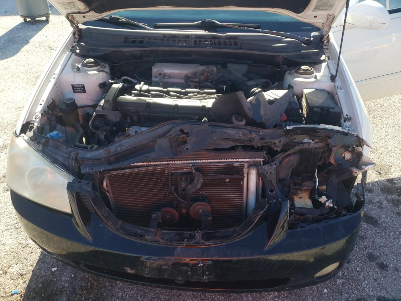 2005 Kia Spectra Lx VIN: KNAFE121955148890 Lot: 91065485