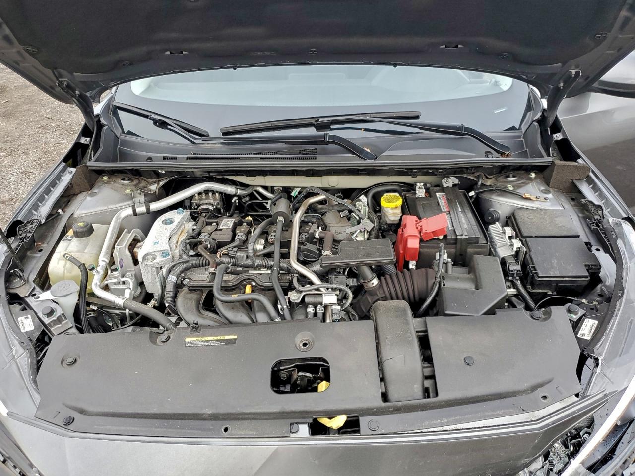 2024 Nissan Sentra Sv VIN: 3N1AB8CV0RY324642 Lot: 93824085