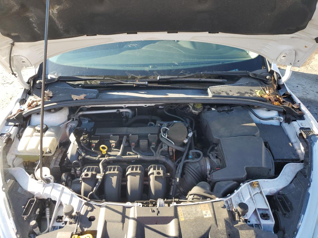 2015 Ford Focus Se VIN: 1FADP3K21FL214456 Lot: 92001695