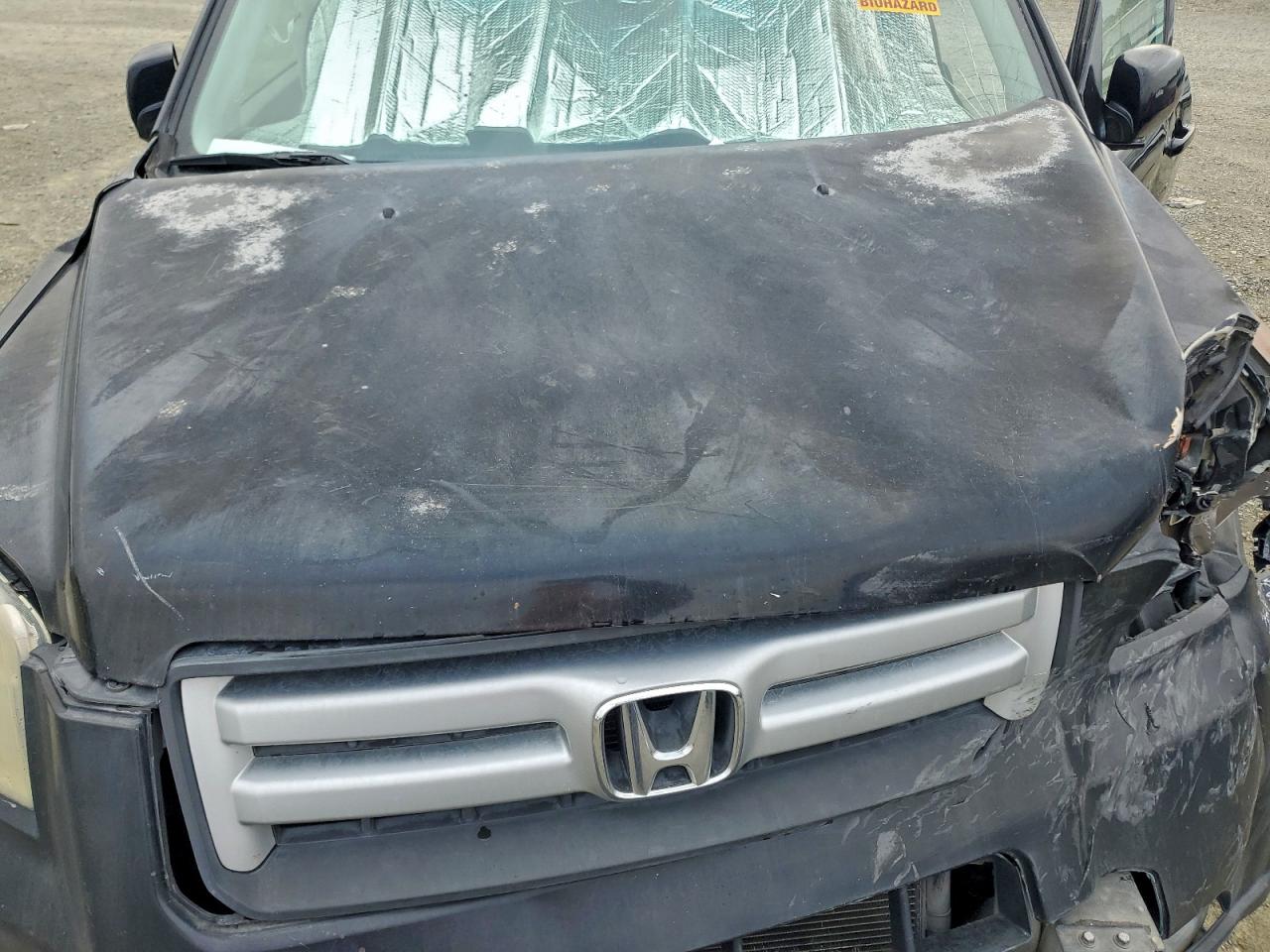 2006 Honda Pilot Ex VIN: 5FNYF28676B019516 Lot: 91831725