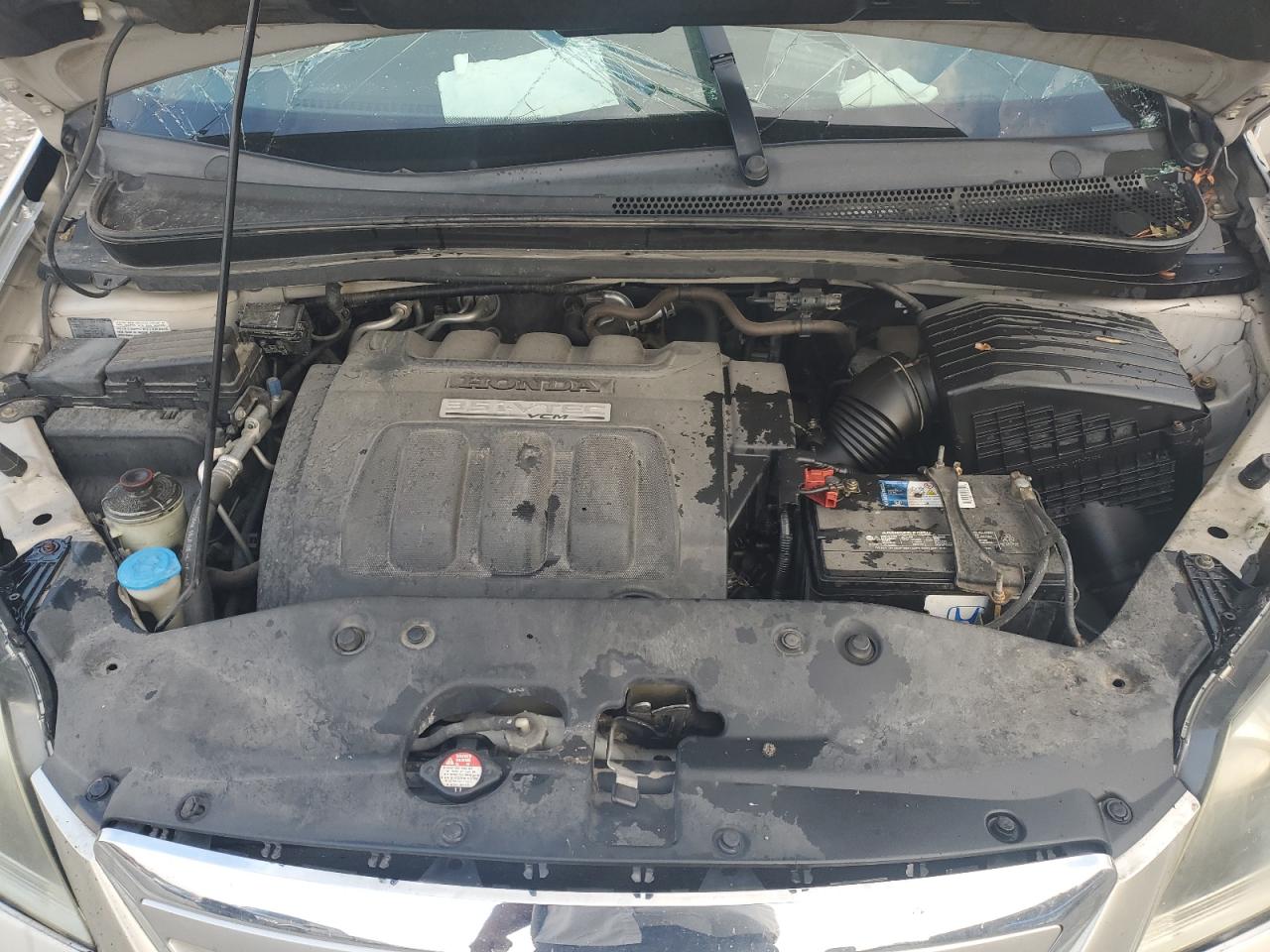 2005 Honda Odyssey Exl VIN: 5FNRL38725B047377 Lot: 92483345