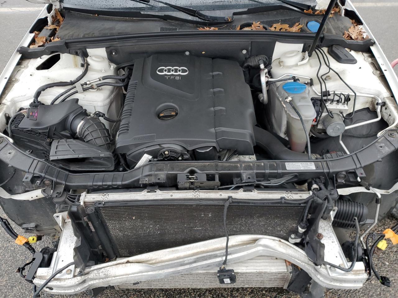 2013 Audi A4 Premium VIN: WAUBFAFL3DN042568 Lot: 93317805