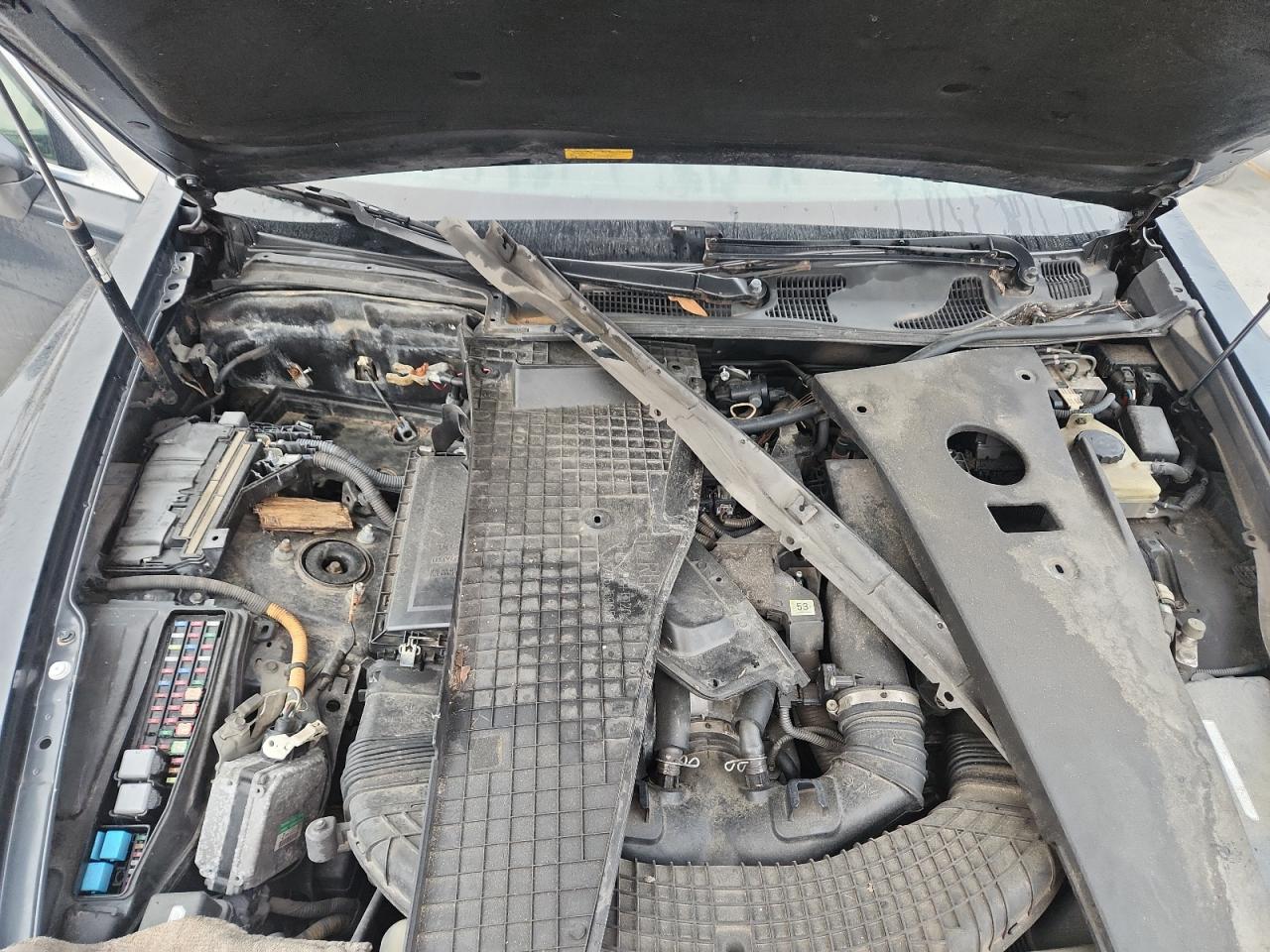 2008 Lexus Ls 460 VIN: JTHBL46F585076667 Lot: 92993995