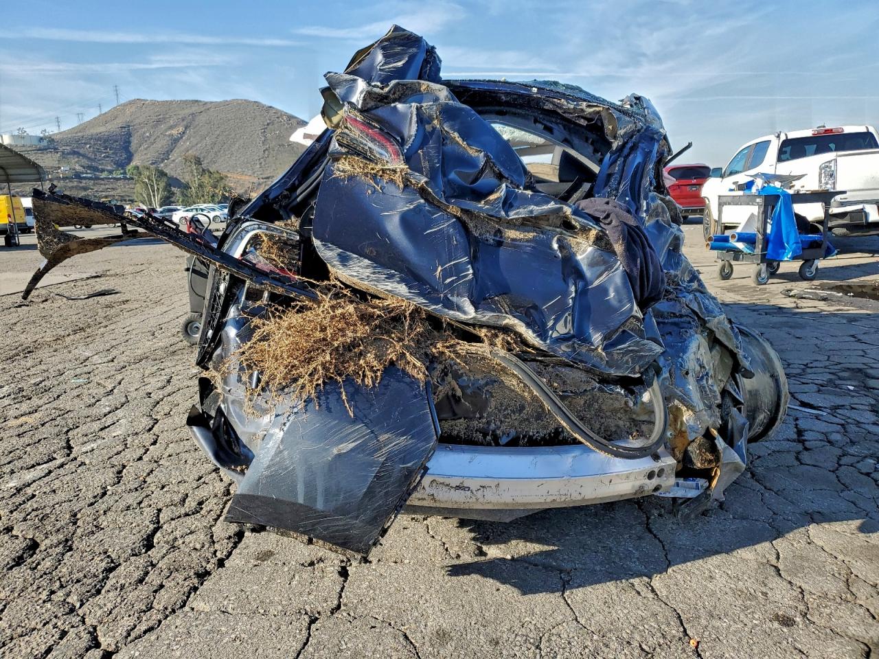 2024 Tesla Model Y VIN: 7SAYGDEE2RF132737 Lot: 93760855