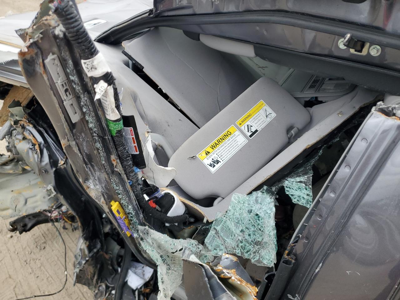 2019 Honda Cr-V Exl VIN: 5J6RW2H85KA021607 Lot: 91166065