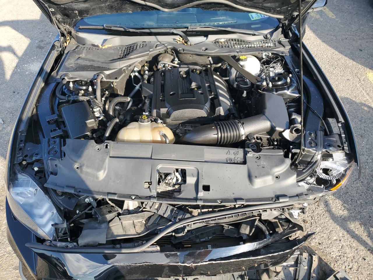 2018 Ford Mustang VIN: 1FATP8UH0J5124724 Lot: 82706415