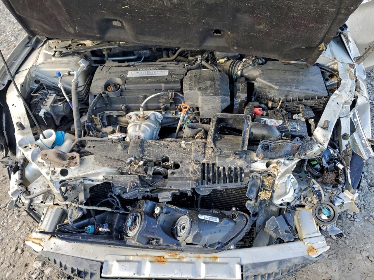 2013 Honda Accord Exl VIN: 1HGCR2F81DA104204 Lot: 93868745