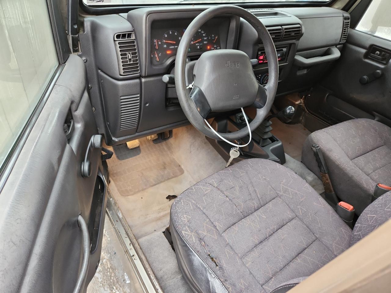 2002 Jeep Wrangler / Tj X VIN: 1J4FA39S22P776177 Lot: 91582715