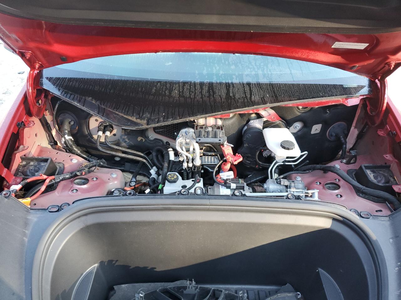 2024 Tesla Model Y VIN: 7SAYGDEEXRA313050 Lot: 92929775