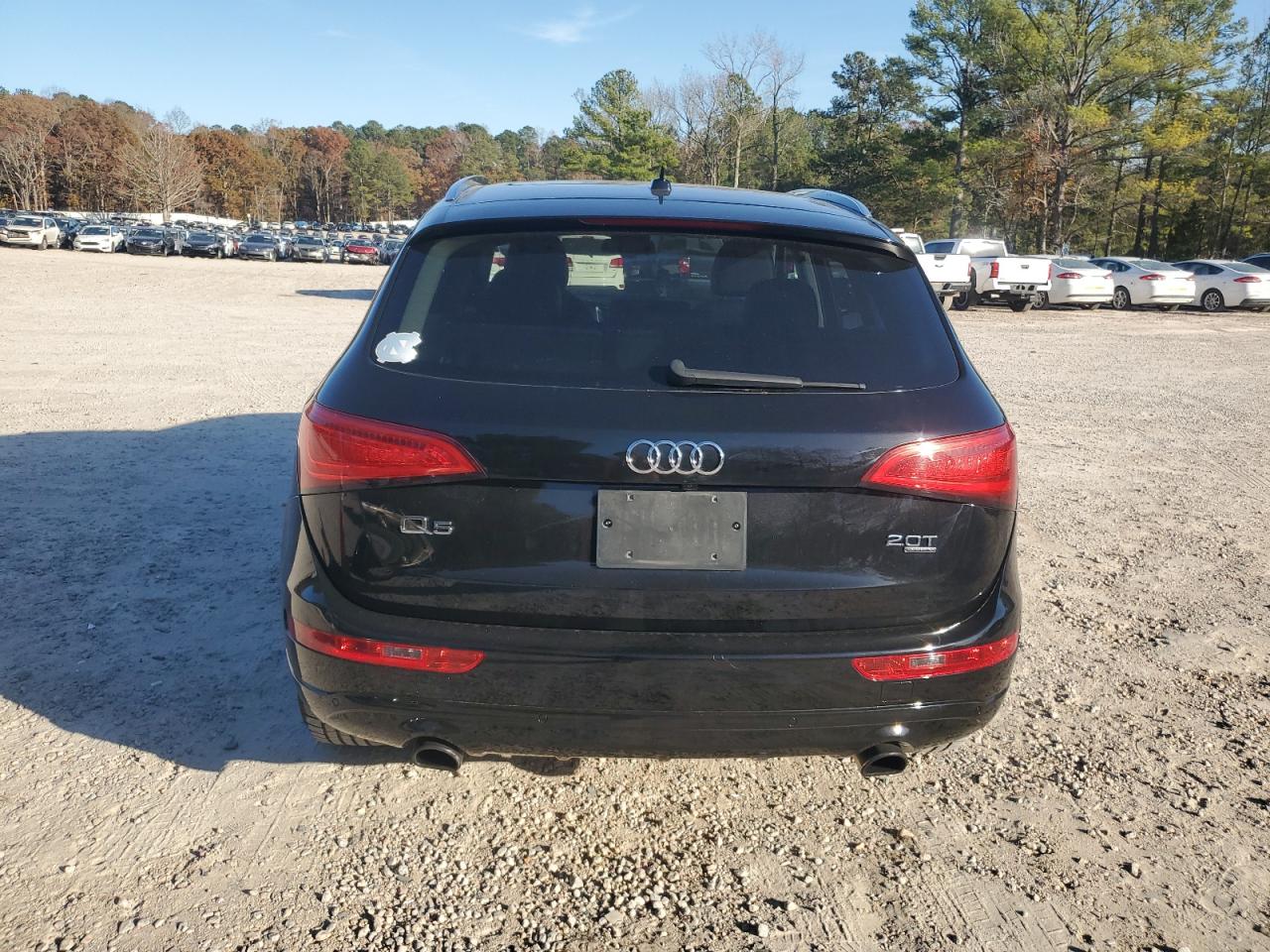 2013 Audi Q5 Premium Plus VIN: WA1LFAFPXDA008302 Lot: 92417095