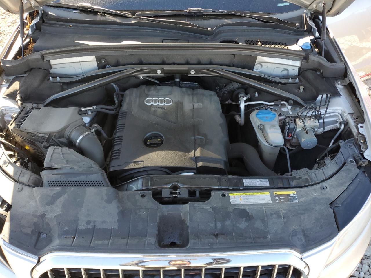 2014 Audi Q5 Premium Plus VIN: WA1LFAFP8EA095568 Lot: 91184335