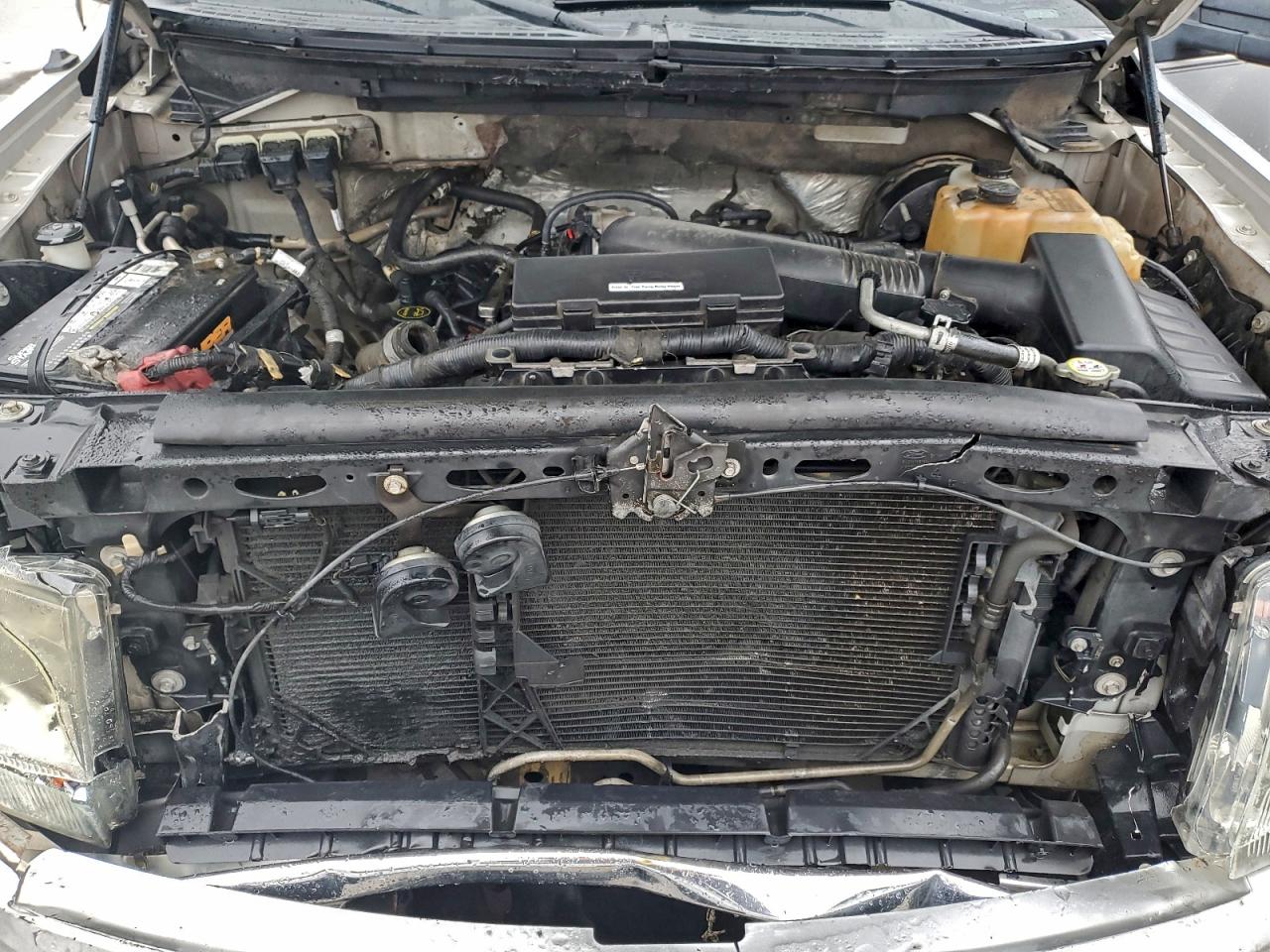 2009 Ford F150 Supercrew VIN: 1FTRW12839FA78765 Lot: 92630385