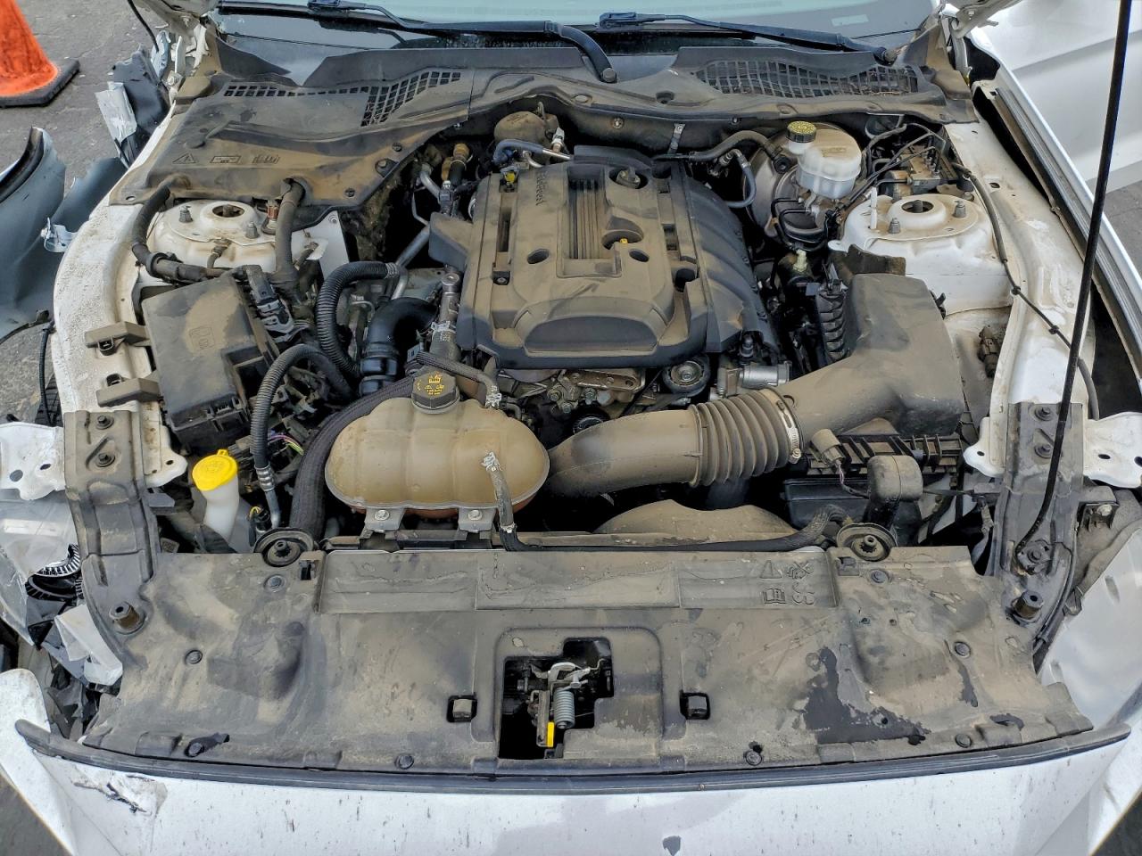 2019 Ford Mustang VIN: 1FA6P8THXK5135567 Lot: 93893915