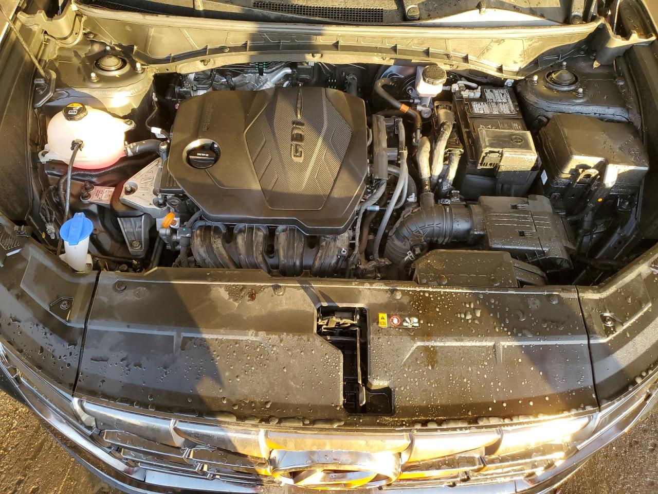 2024 Hyundai Tucson Limited VIN: 5NMJECDE3RH308421 Lot: 92096515