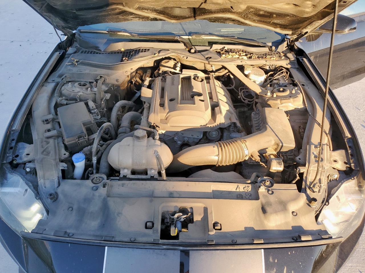 2020 Ford Mustang VIN: 1FA6P8TH4L5166637 Lot: 91012905