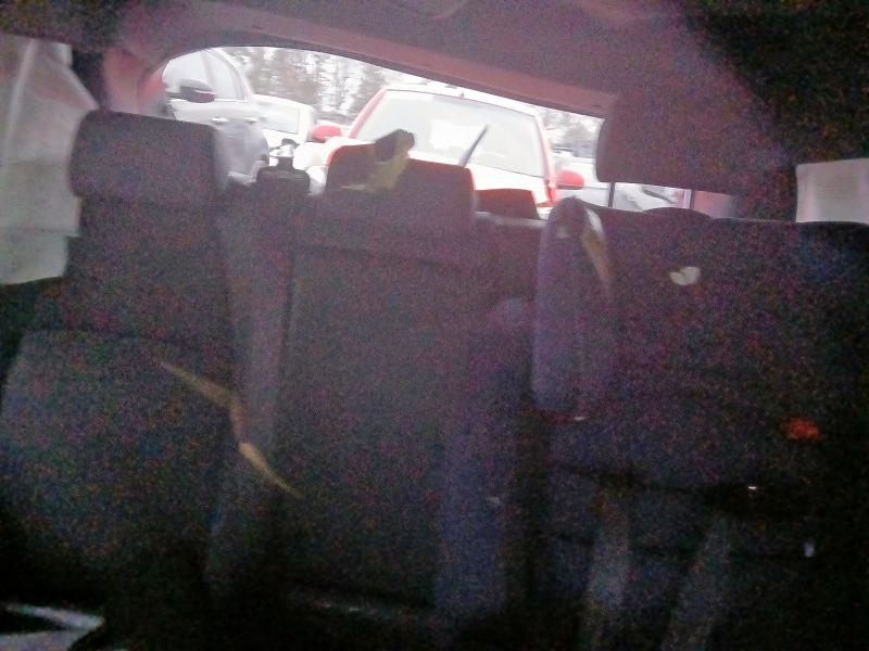 2024 TOYOTA COROLLA 2.0 HYBRID GR SPORT 5DR CVT