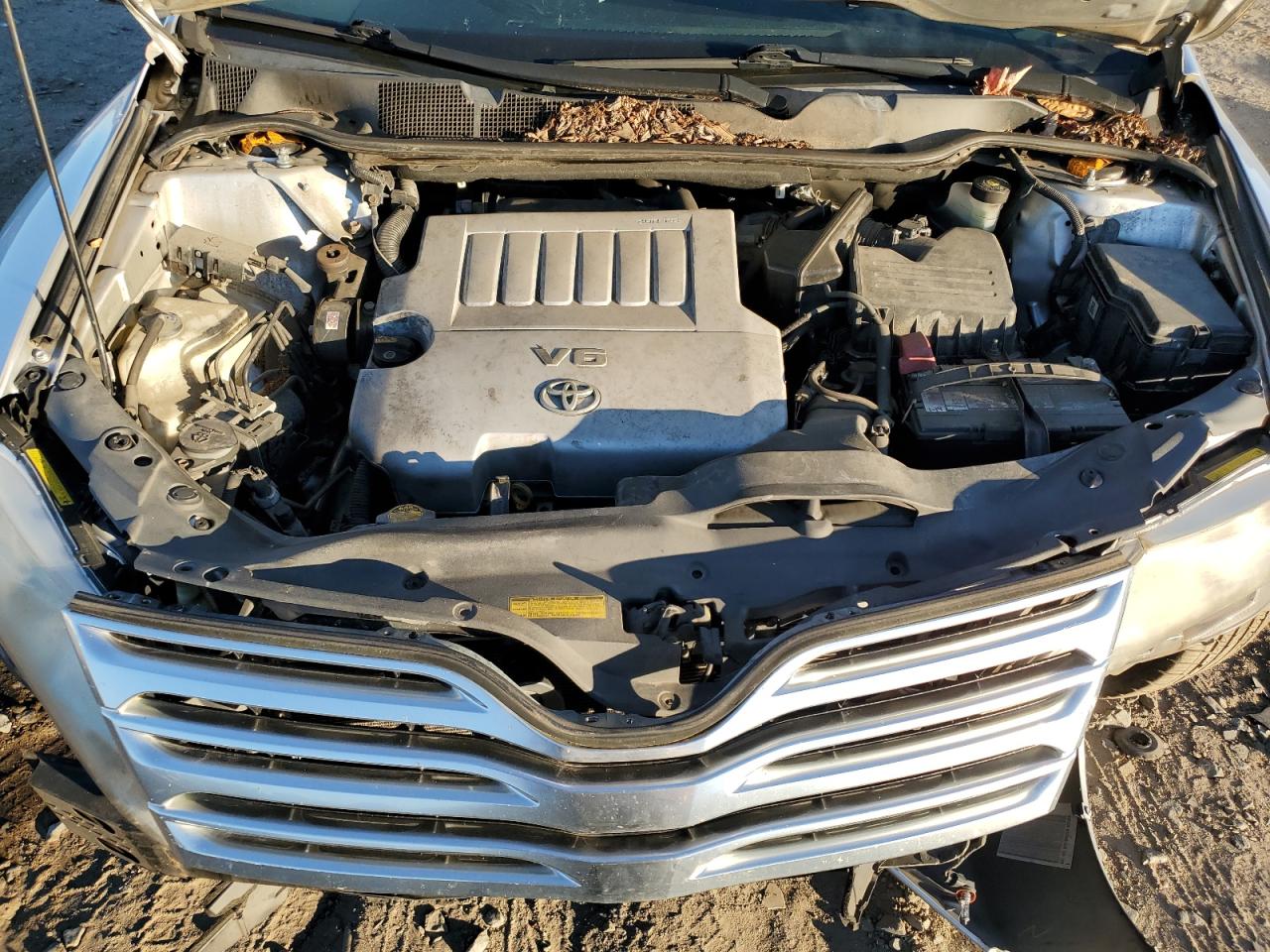 2009 Toyota Venza VIN: 4T3BK11A69U007785 Lot: 93295705