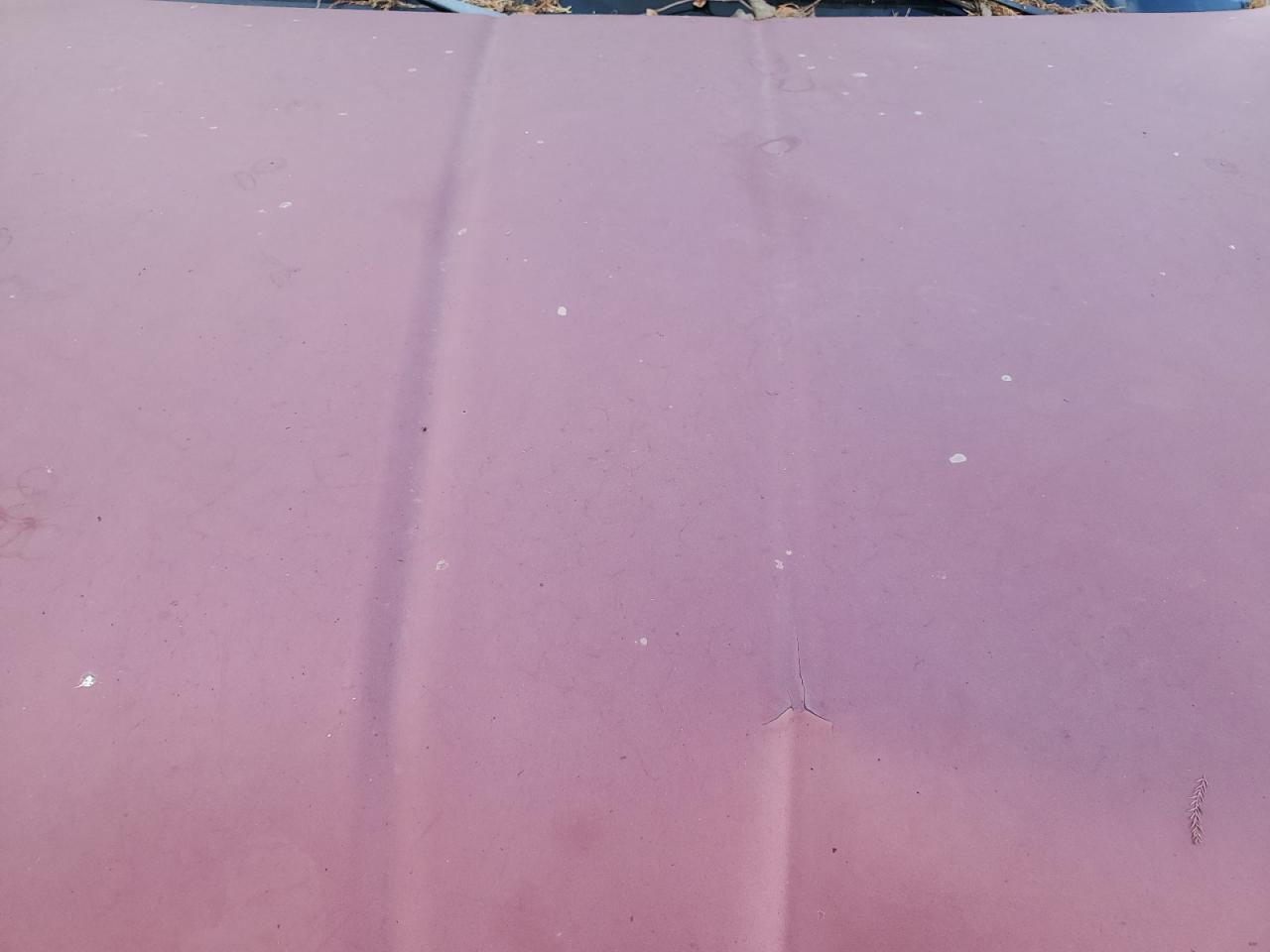 1999 Dodge Ram 1500 VIN: 1B7HC13Y8XJ599204 Lot: 92430055