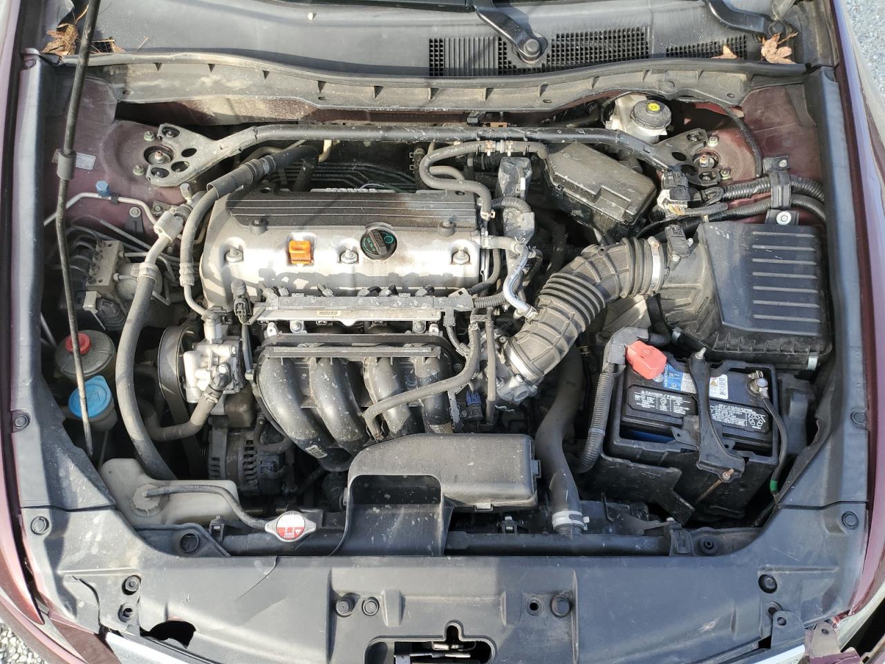 2010 Honda Accord Exl VIN: 1HGCP2F86AA080189 Lot: 93191465