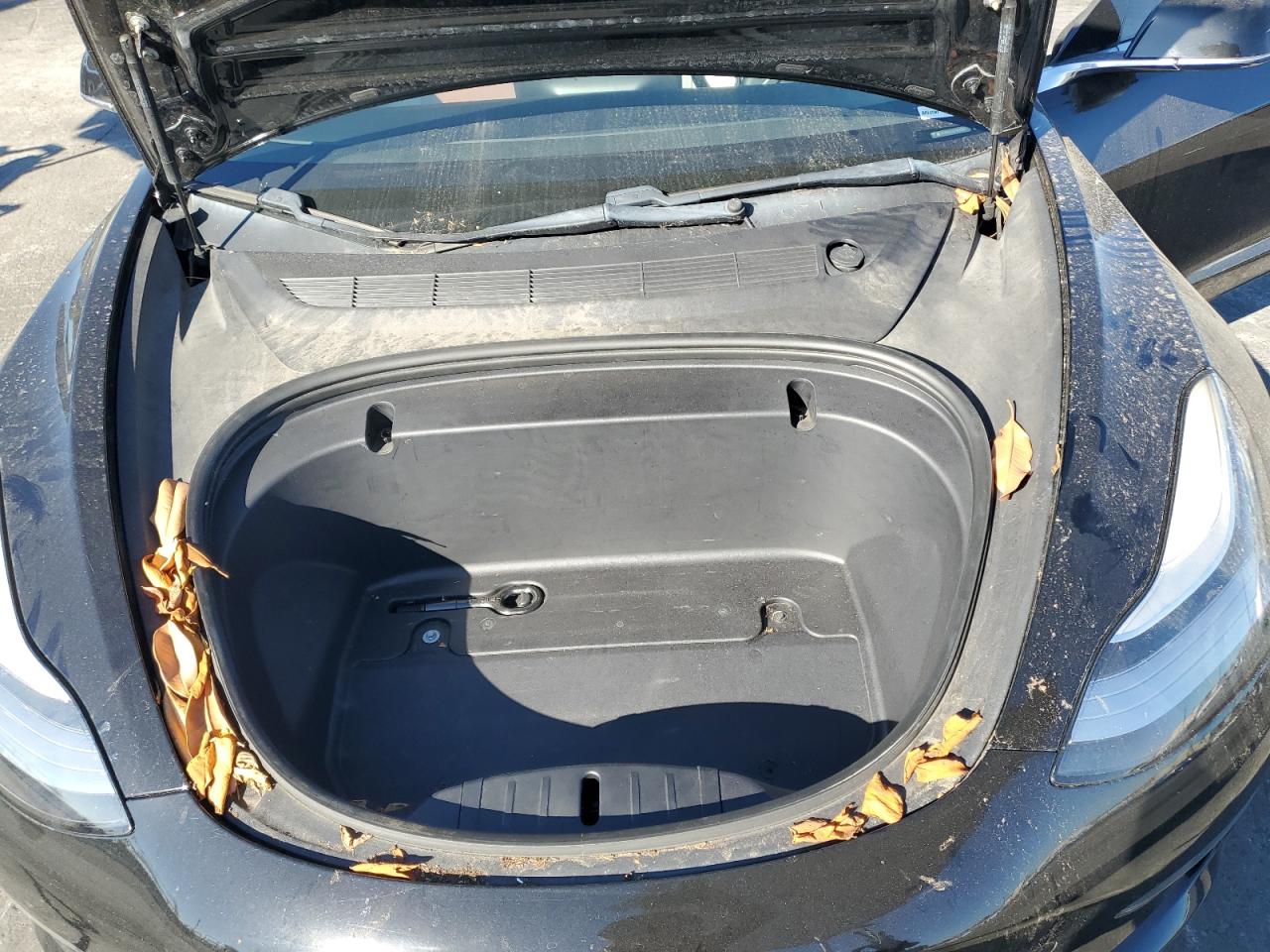 2020 Tesla Model 3 VIN: 5YJ3E1EA3LF634818 Lot: 87446415