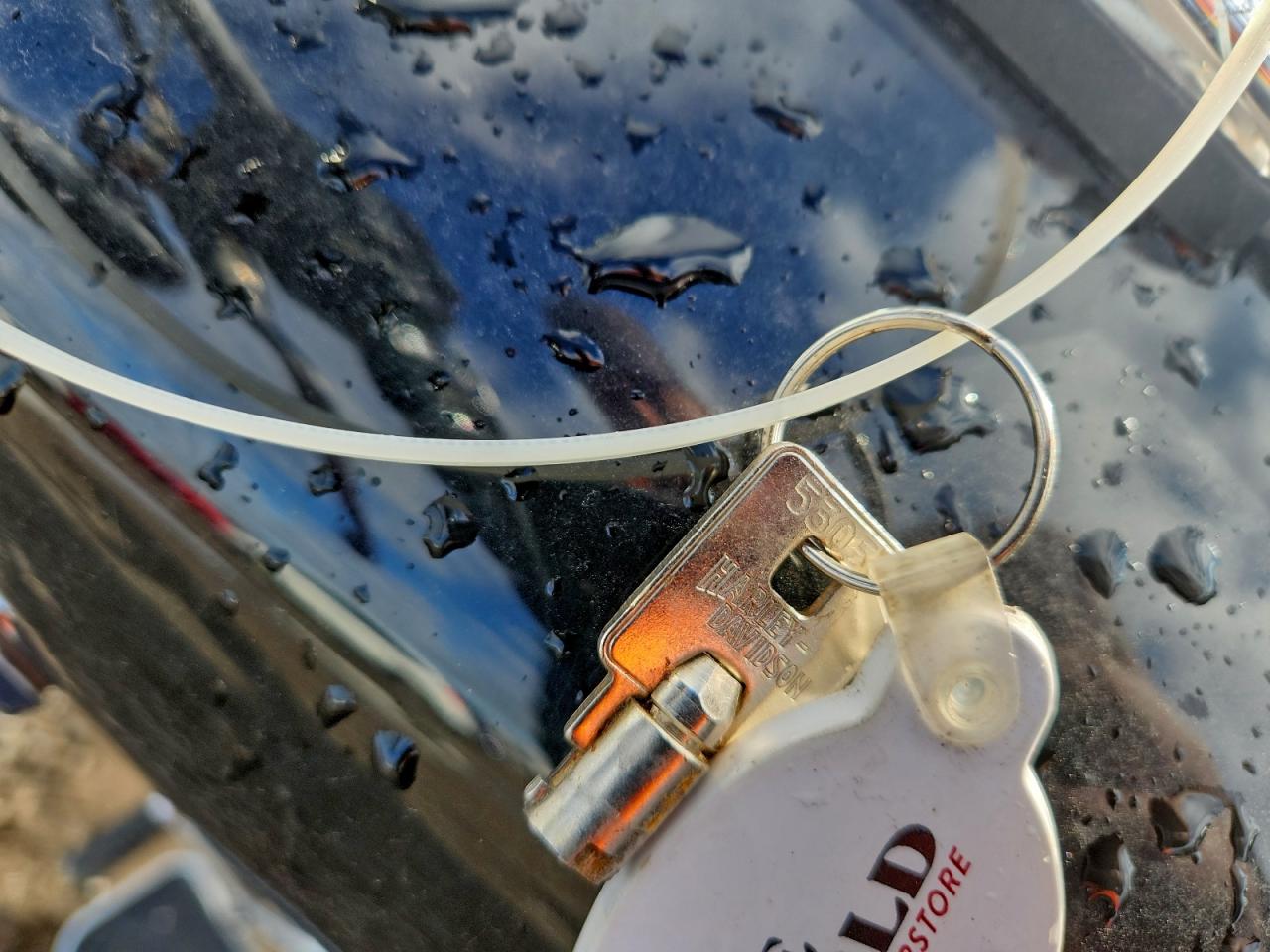 2013 Harley-Davidson Fld Switchback VIN: 1HD1GZM11DC309065 Lot: 92199135