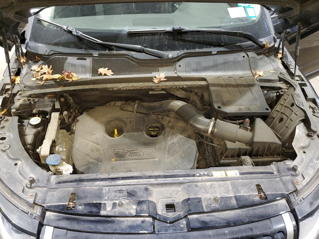 2017 Land Rover Range Rover Evoque Se VIN: SALVP2BG5HH232980 Lot: 92121755