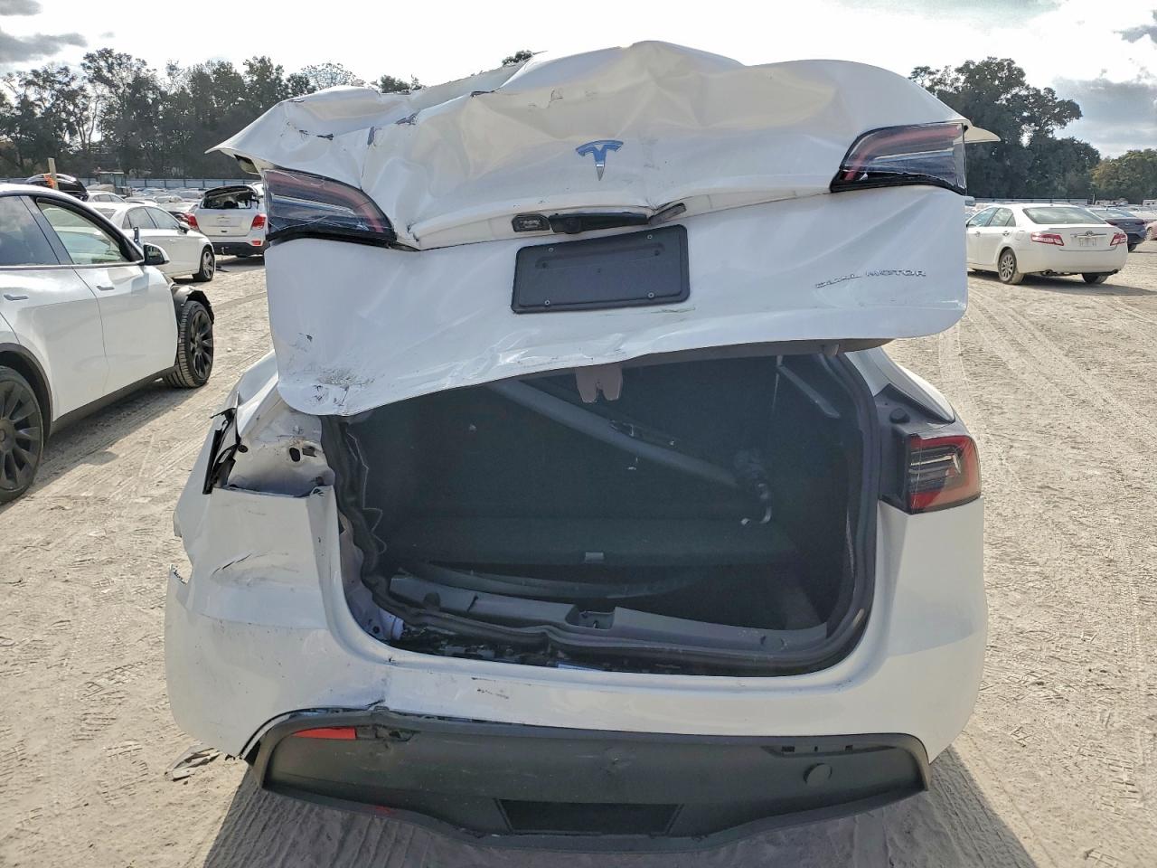 2024 Tesla Model Y VIN: 7SAYGDEE4RA325971 Lot: 94097565