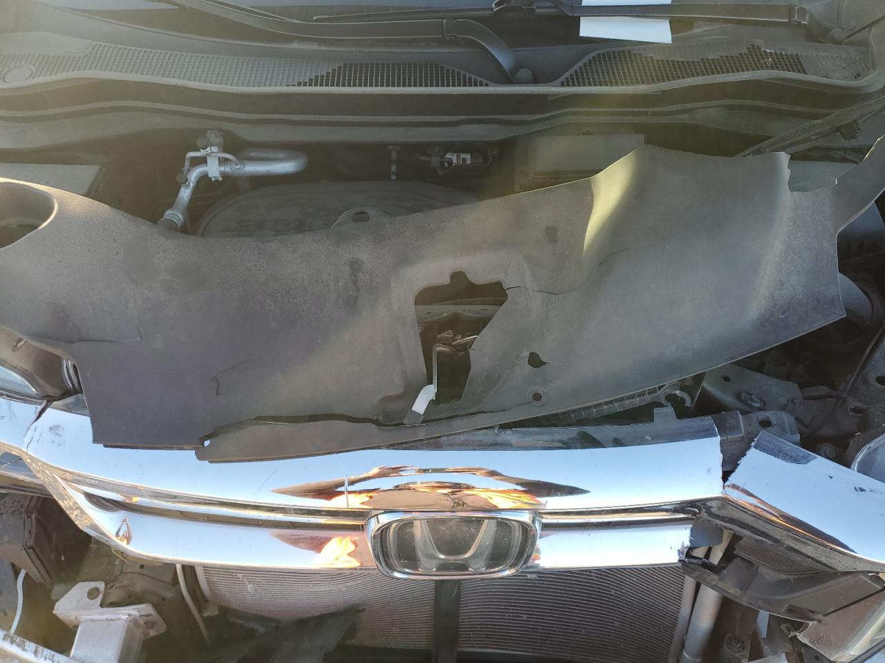 2019 Honda Pilot Exl VIN: 5FNYF6H56KB066335 Lot: 92255725