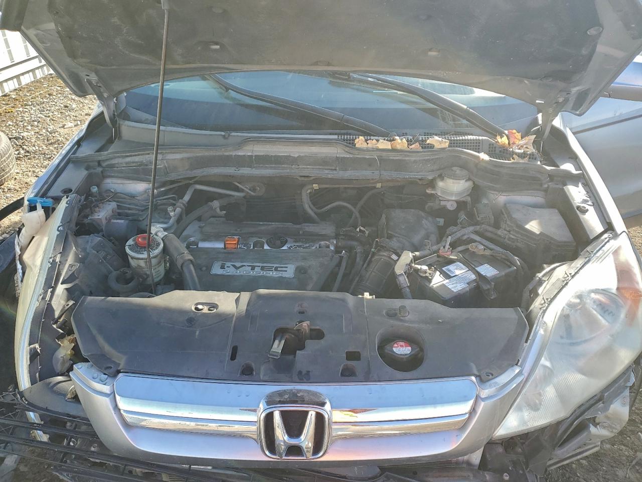 2008 Honda Cr-V Exl VIN: 5J6RE48768L024504 Lot: 93316795