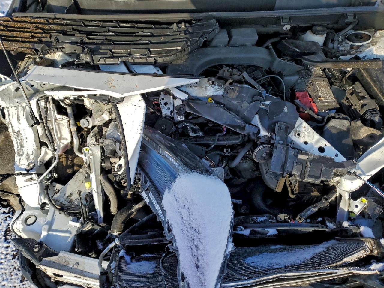 2023 Toyota Rav4 Xle VIN: 2T3R1RFV6PC344757 Lot: 93944865