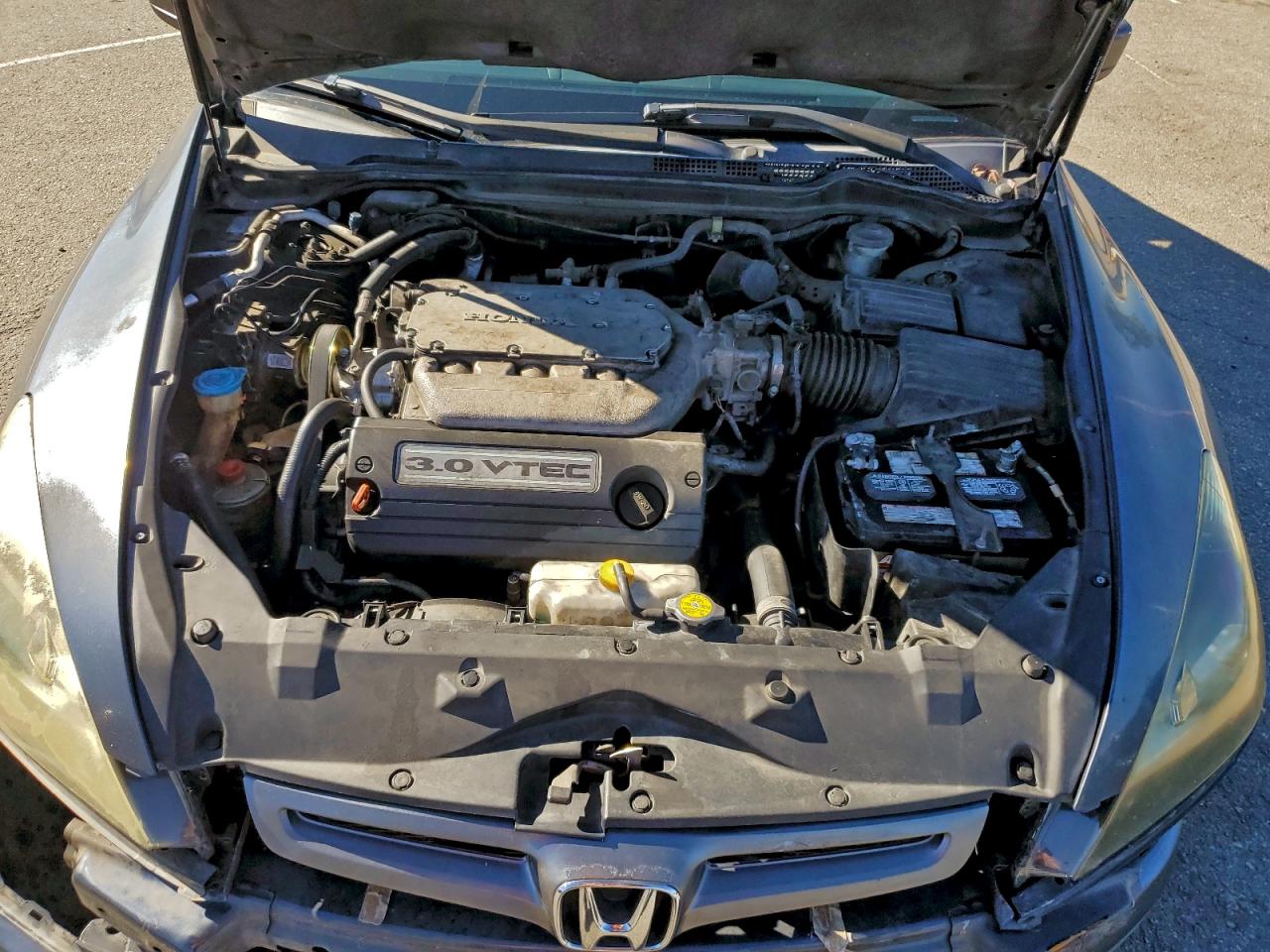 2004 Honda Accord Ex VIN: 1HGCM66534A003662 Lot: 93623935