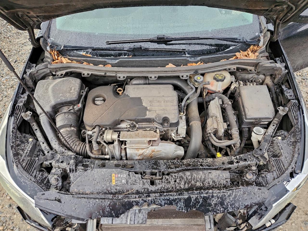 2019 Chevrolet Cruze Lt VIN: 1G1BE5SM8K7117352 Lot: 94345525